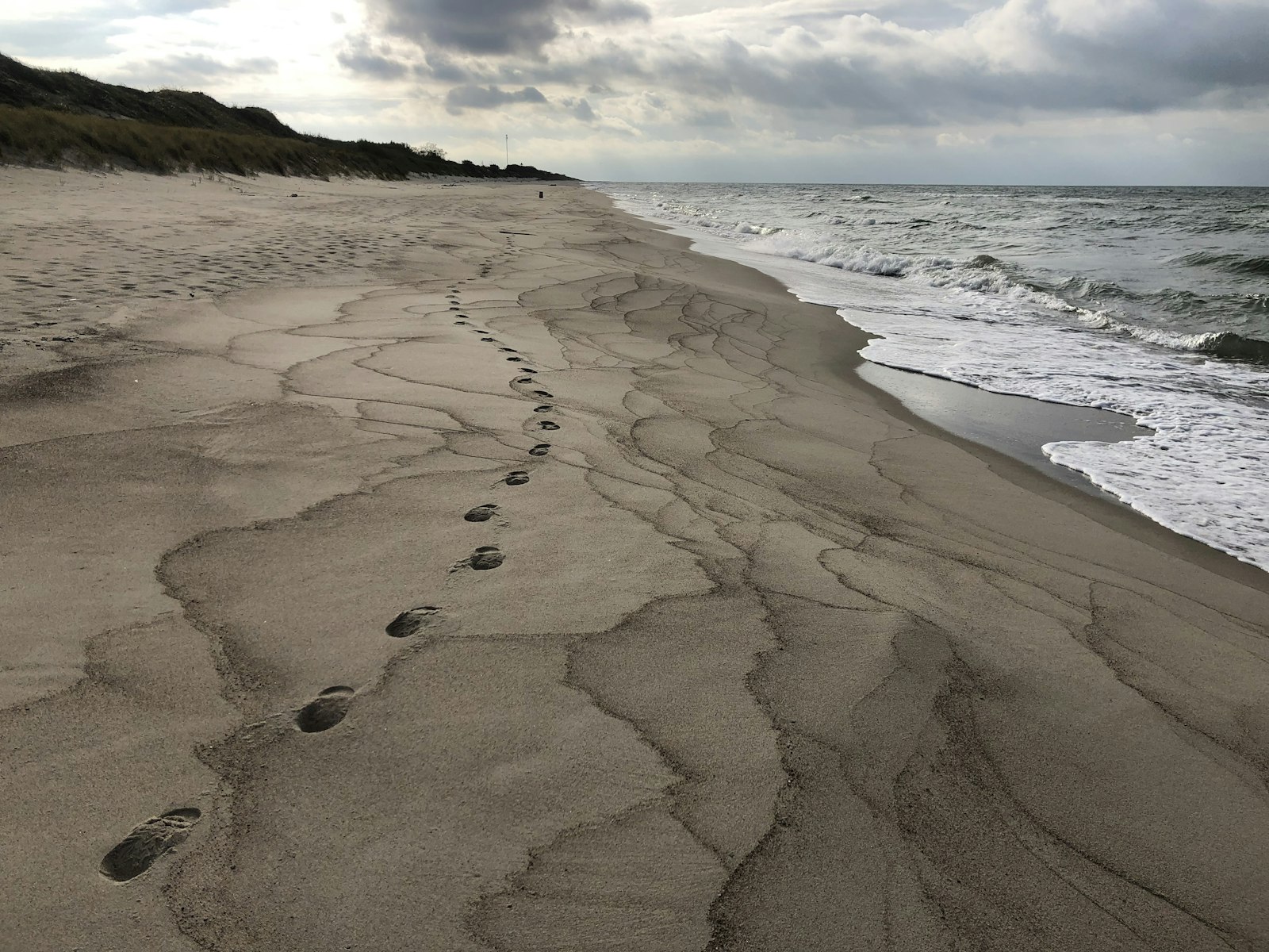En rad fotspår i sand längs en molnig kust.